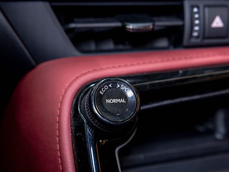 lexus NX 2024 - 22
