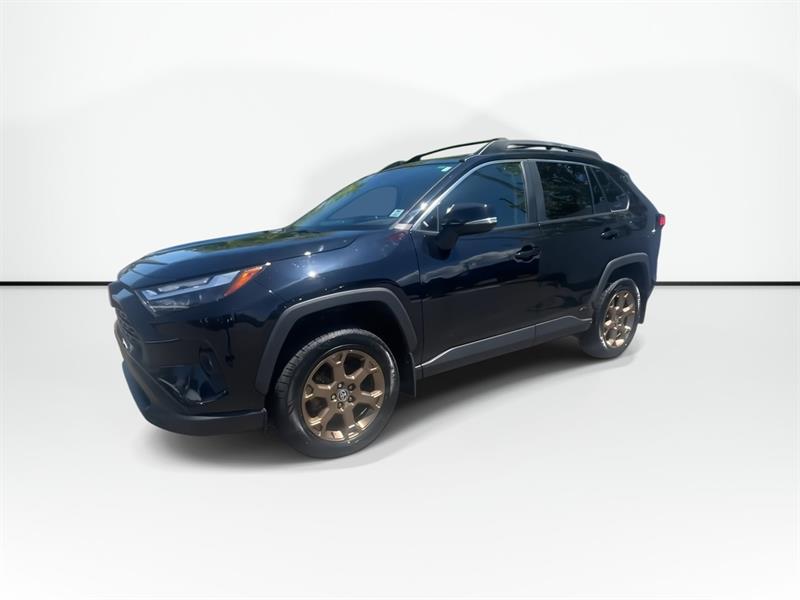 toyota RAV4 2023 - 4