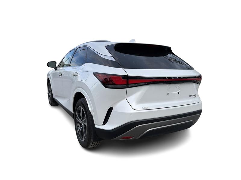 lexus RX 350 2023 - 11