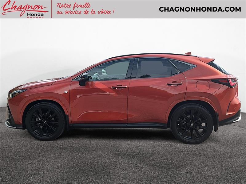 lexus NX 2022 - 5