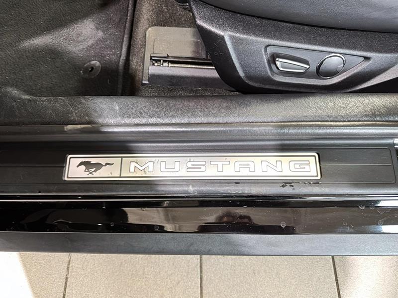 ford Mustang 2017 - 19