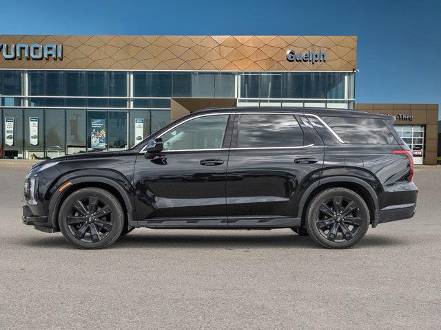 hyundai Palisade 2024 - 3