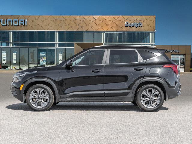 kia Seltos 2024 - 3