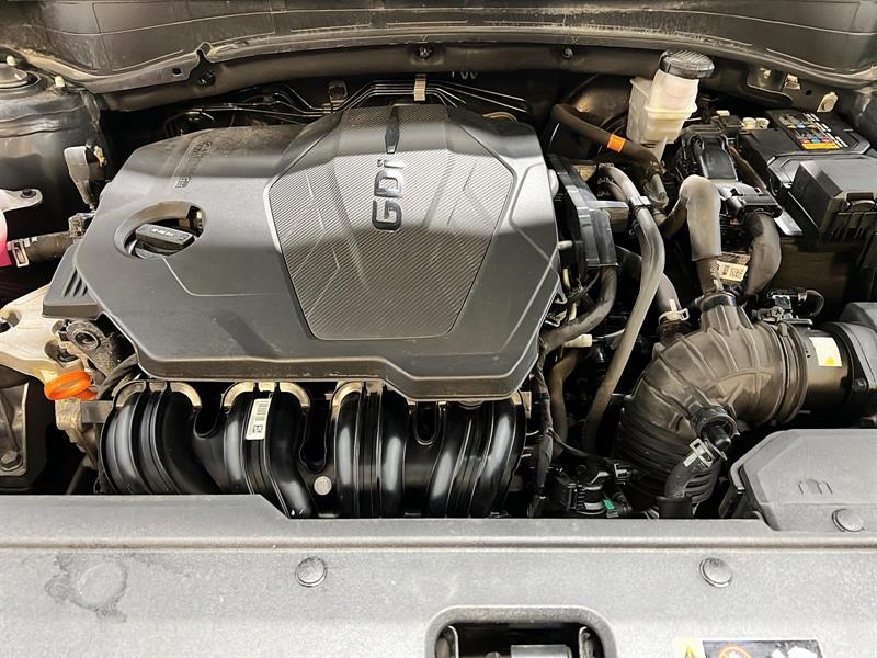 kia Sportage 2024 - 11