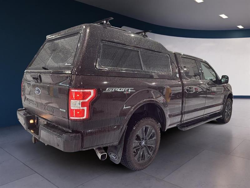 ford F-150 2019 - 5