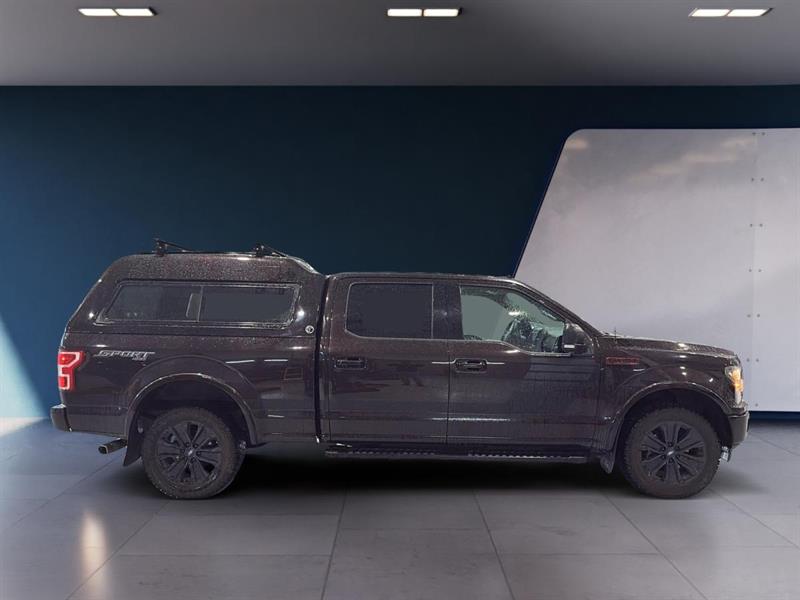 ford F-150 2019 - 6