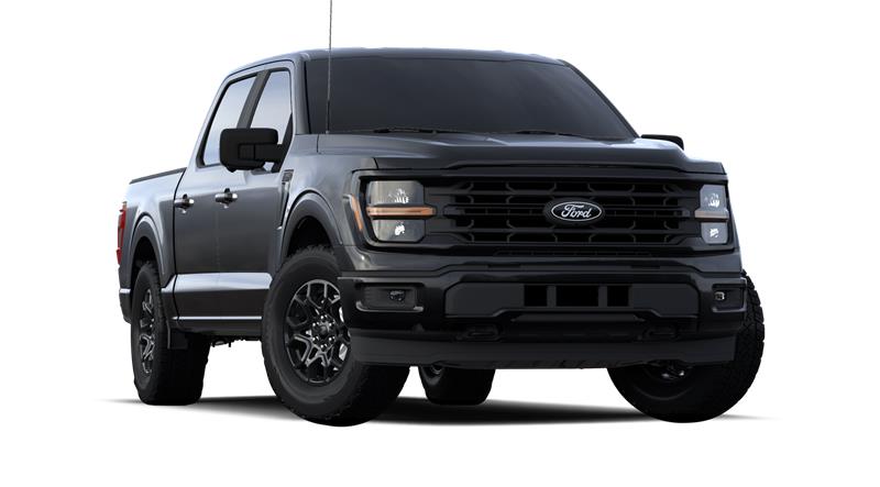 ford F-150 2024 - 4