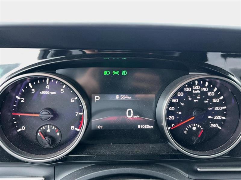 kia Carnival 2024 - 11