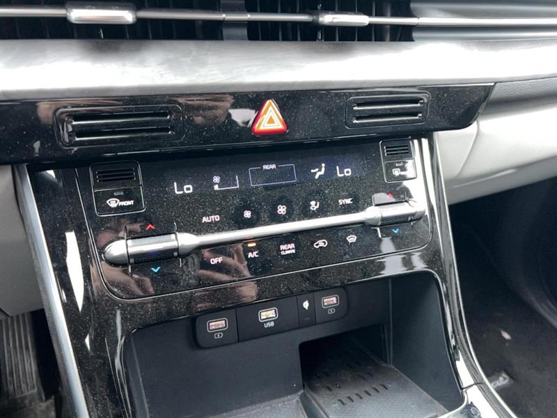 kia Carnival 2024 - 15