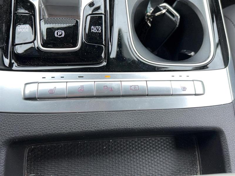 kia Carnival 2024 - 17