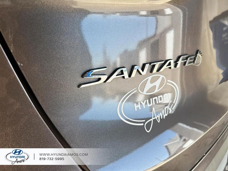 hyundai Santa Fe 2020 - 6