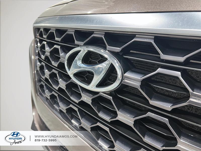 hyundai Santa Fe 2020 - 7
