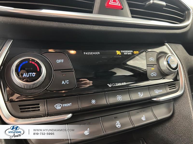 hyundai Santa Fe 2020 - 12