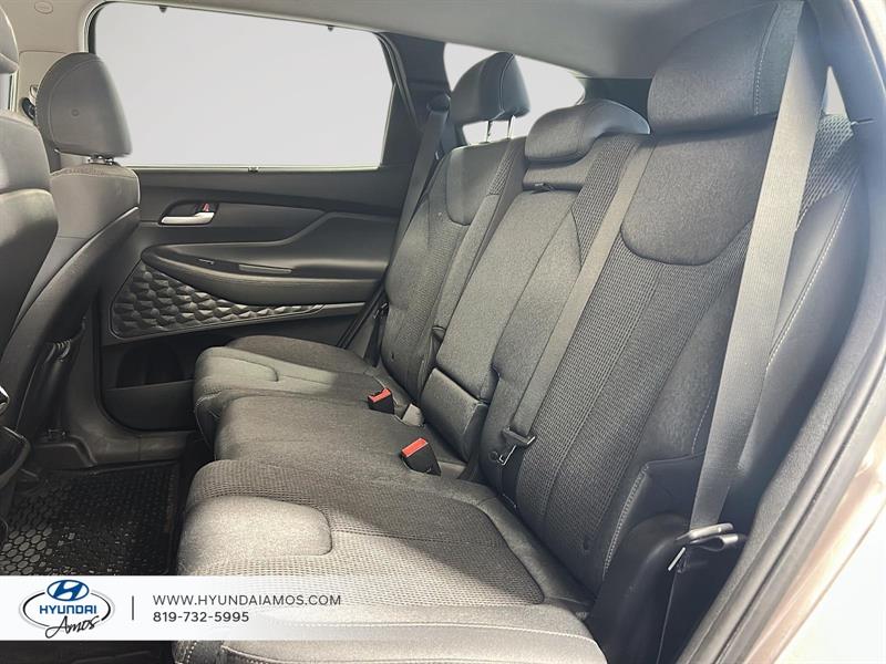 hyundai Santa Fe 2020 - 28