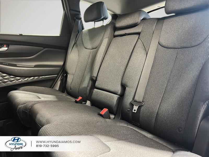 hyundai Santa Fe 2020 - 29