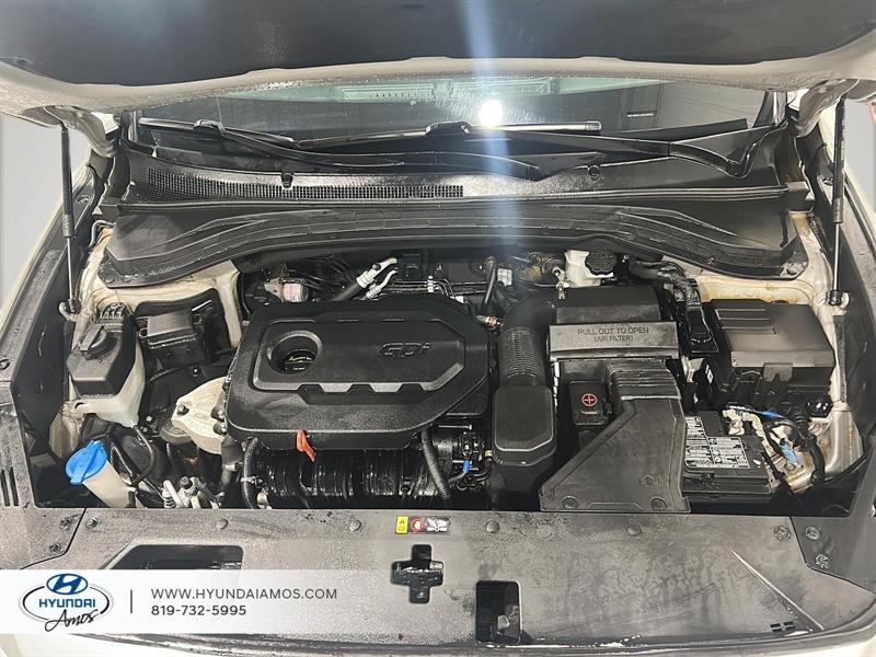 hyundai Santa Fe 2020 - 12