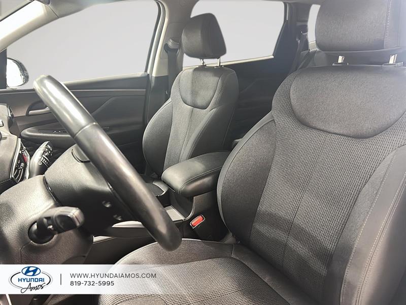 hyundai Santa Fe 2020 - 29