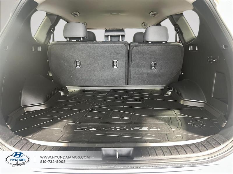 hyundai Santa Fe 2020 - 40