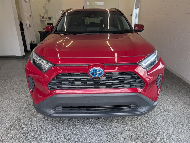 toyota RAV4 Hybrid 2023 - 5