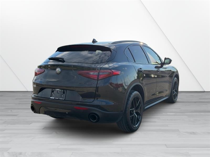 alfa romeo Stelvio 2020 - 6