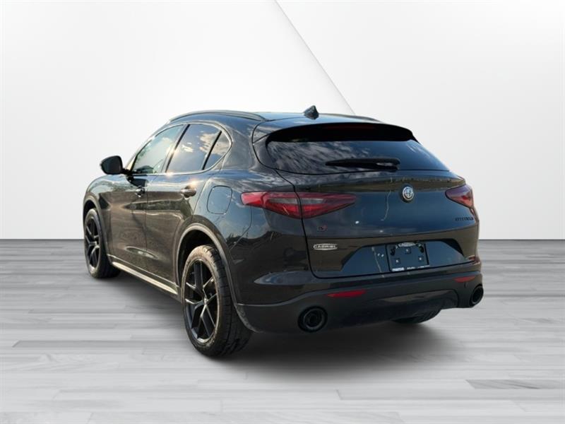 alfa romeo Stelvio 2020 - 8