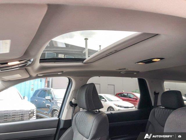 hyundai Palisade 2021 - 25