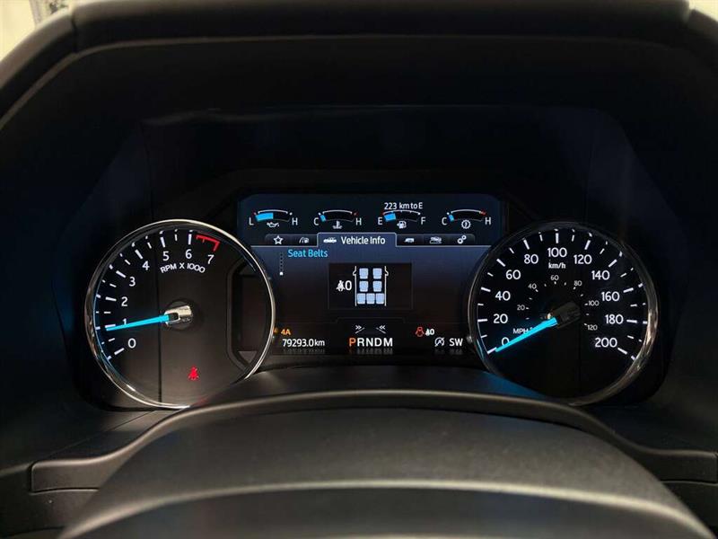 ford Expedition 2020 - 21
