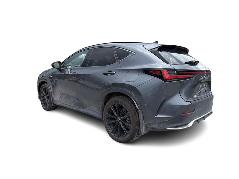 lexus NX 2024 - 10