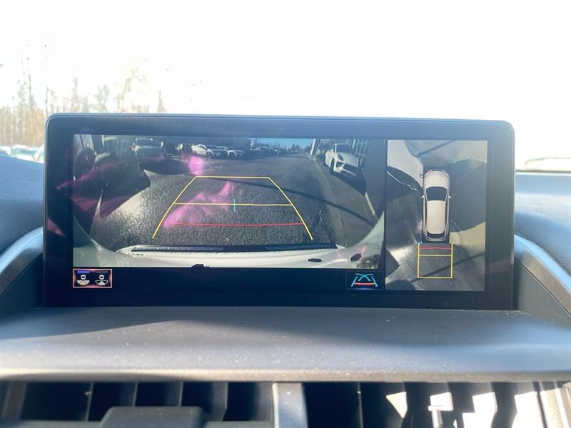 lexus NX 300 2020 - 25