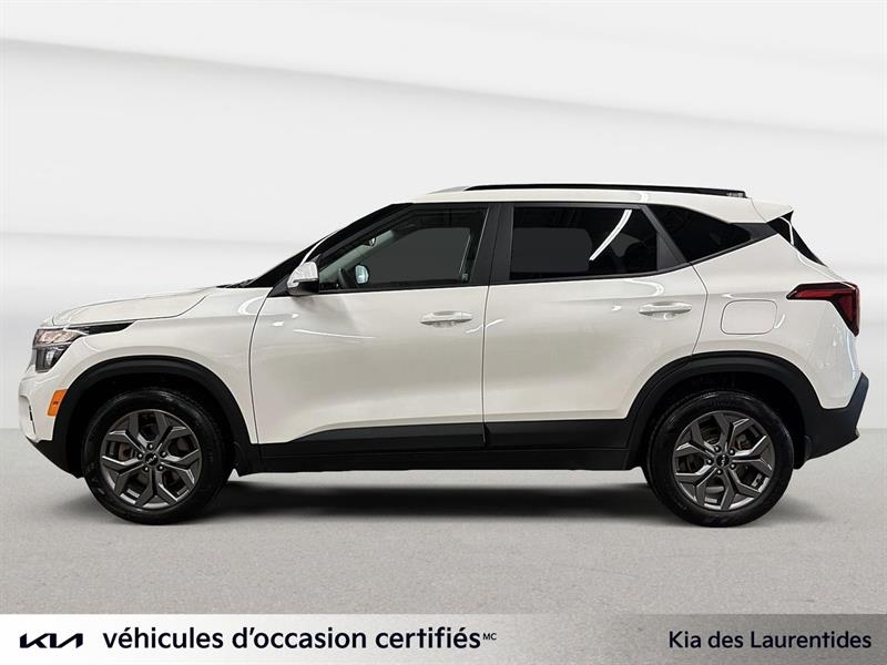 kia Seltos 2024 - 15