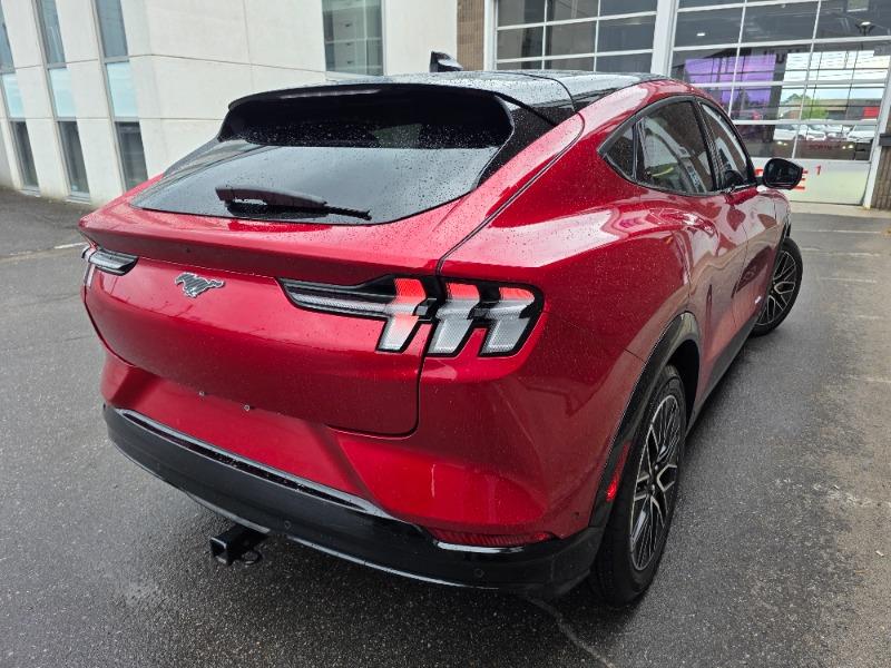 ford Mustang Mach-E 2024 - 5