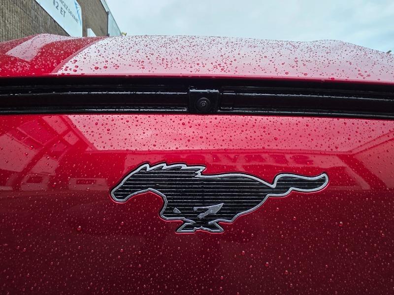 ford Mustang Mach-E 2024 - 14