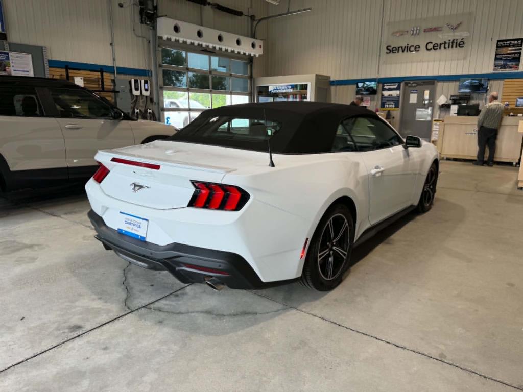ford Mustang 2025 - 9