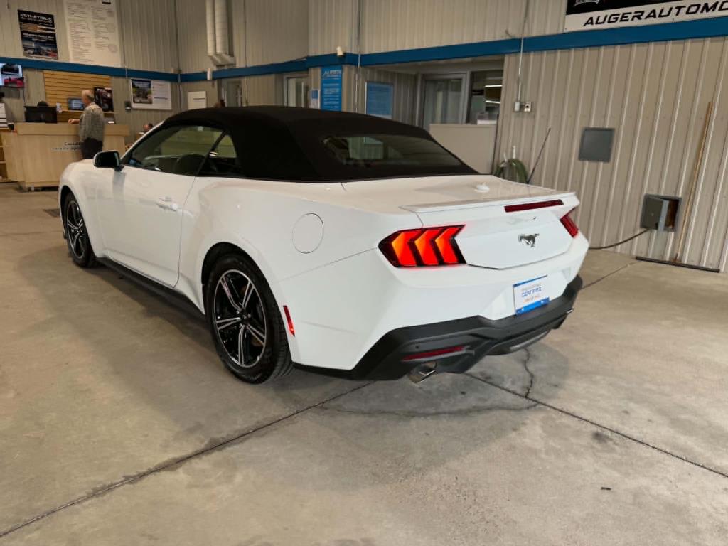 ford Mustang 2025 - 11