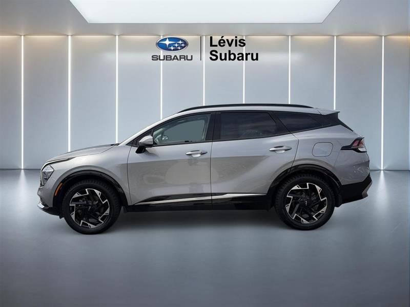 kia Sportage 2024 - 2