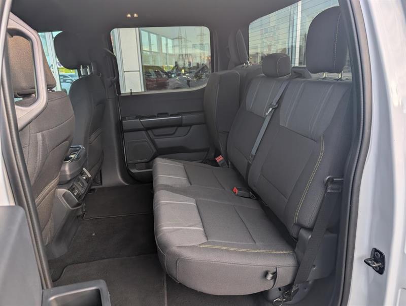 ford F-150 2025 - 18