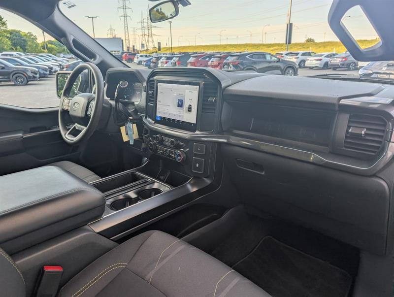 ford F-150 2025 - 19