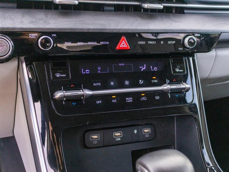 kia Carnival 2024 - 20