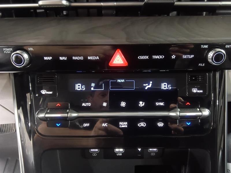 kia Carnival 2024 - 31