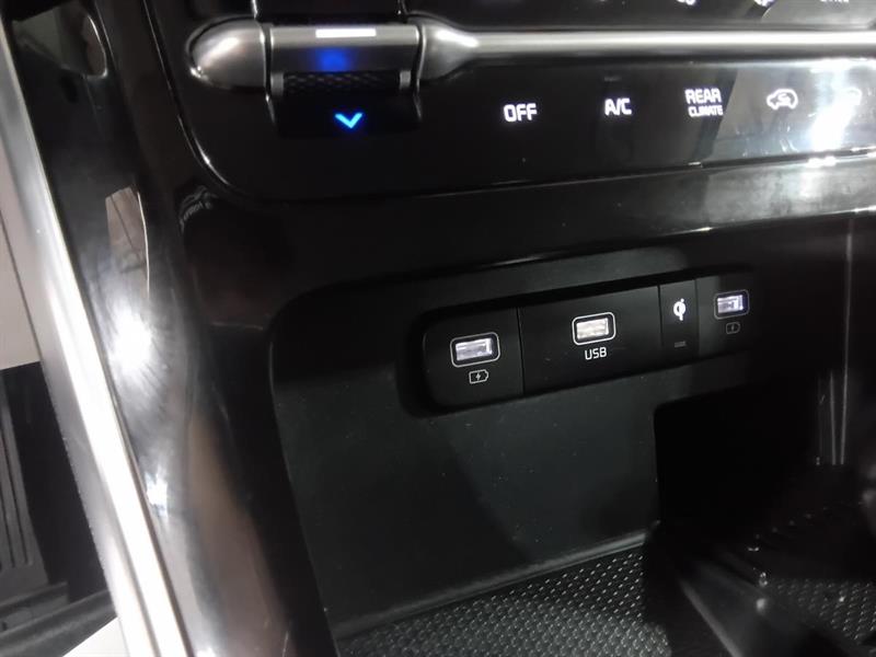 kia Carnival 2024 - 32