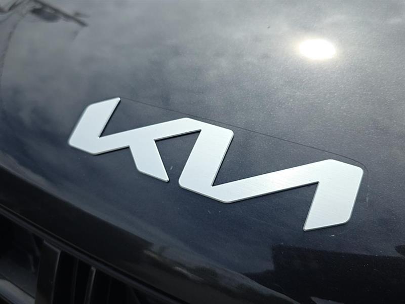 kia Carnival 2024 - 11