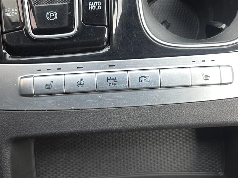 kia Carnival 2024 - 27