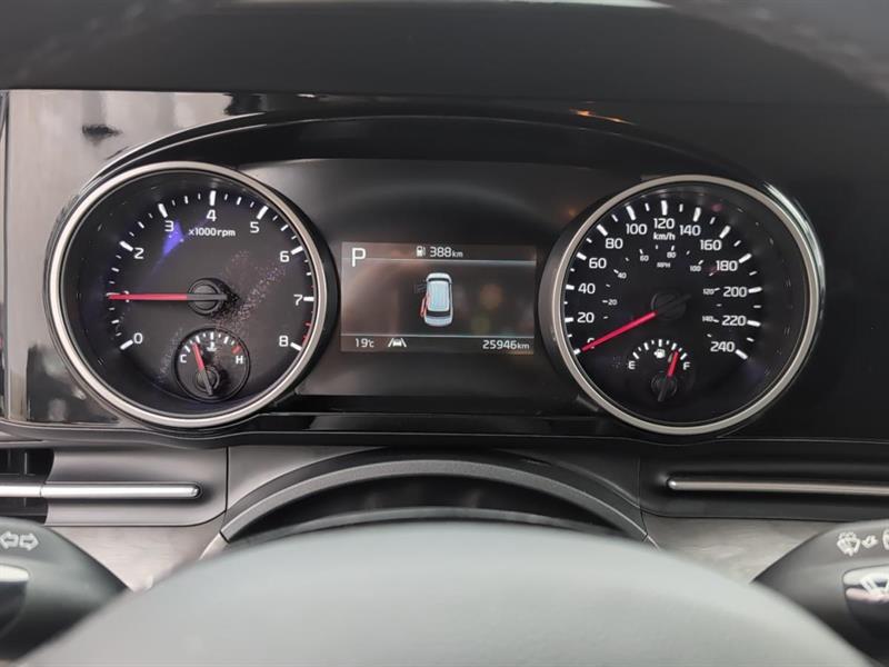 kia Carnival 2023 - 15
