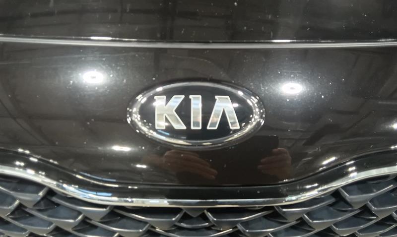 kia Sportage 2022 - 23