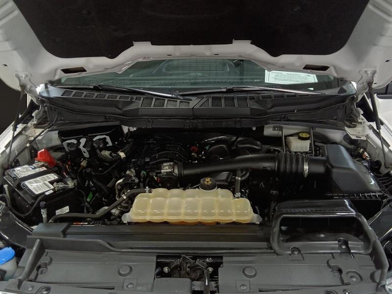 ford F-150 2022 - 3