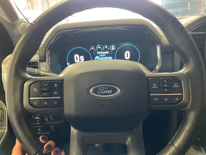 ford F-150 2022 - 17