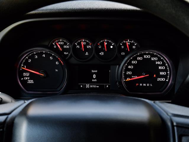 chevrolet Silverado 1500 2024 - 21