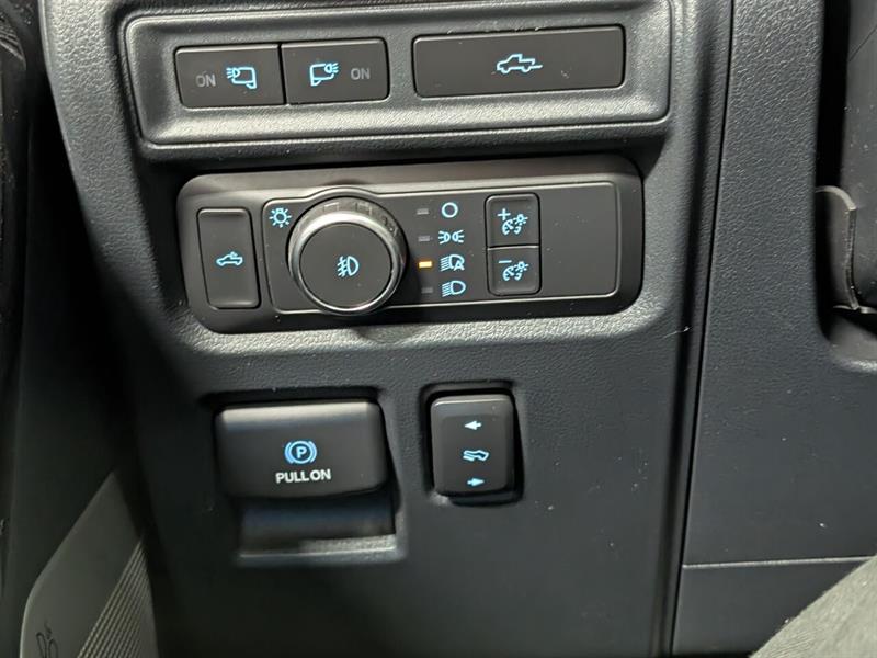 ford F-150 2021 - 15