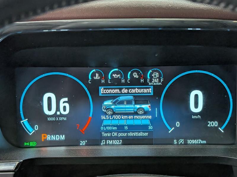 ford F-150 2021 - 20