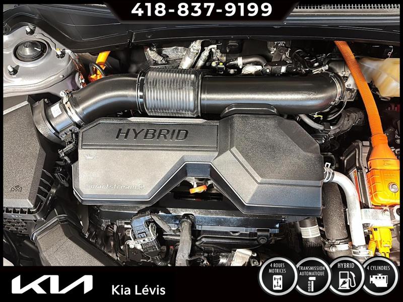 kia Sportage HEV 2026 - 15